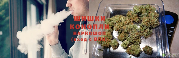прущие грибы Абдулино