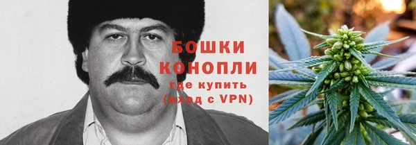 прущие грибы Абдулино