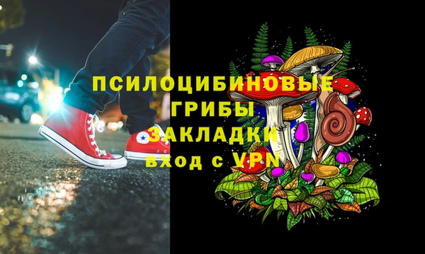 прущие грибы Абдулино
