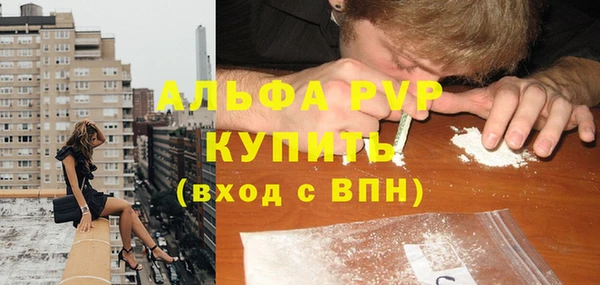 прущие грибы Абдулино