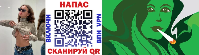 Шишки марихуана Amnesia  купить наркотики сайты  Вологда 